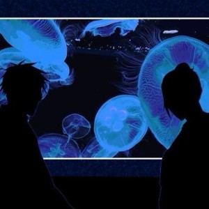 جادوگر کومو