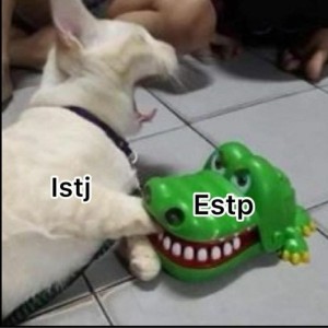 عکس فان mbti