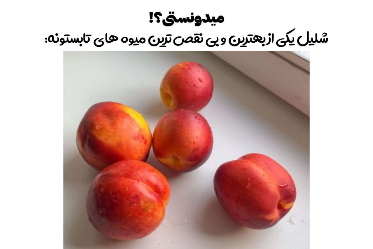 عکس میدونستی که اینارو نمی دونستی ؟!