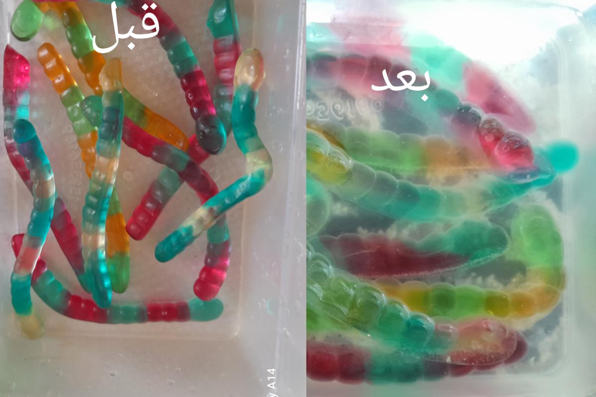 پاستیل یخی