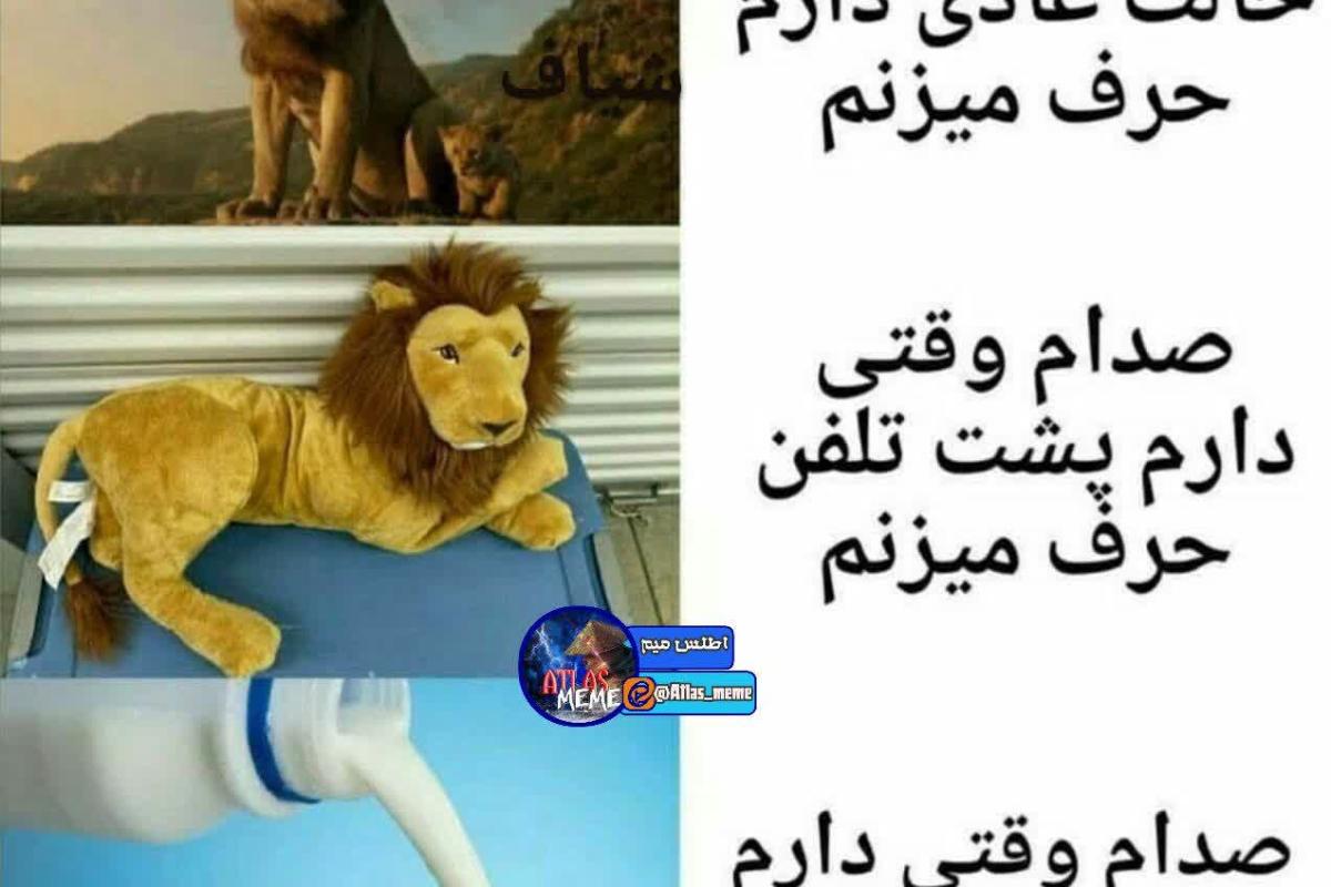 عکس میم فان ¹