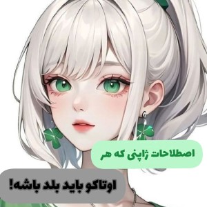 عکس اصطلاحاتی که هر اوتاکو باید بلد باشه!