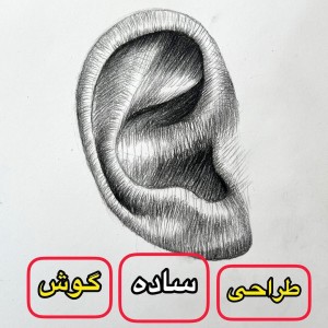 عکس آموزش نقاشی گوش