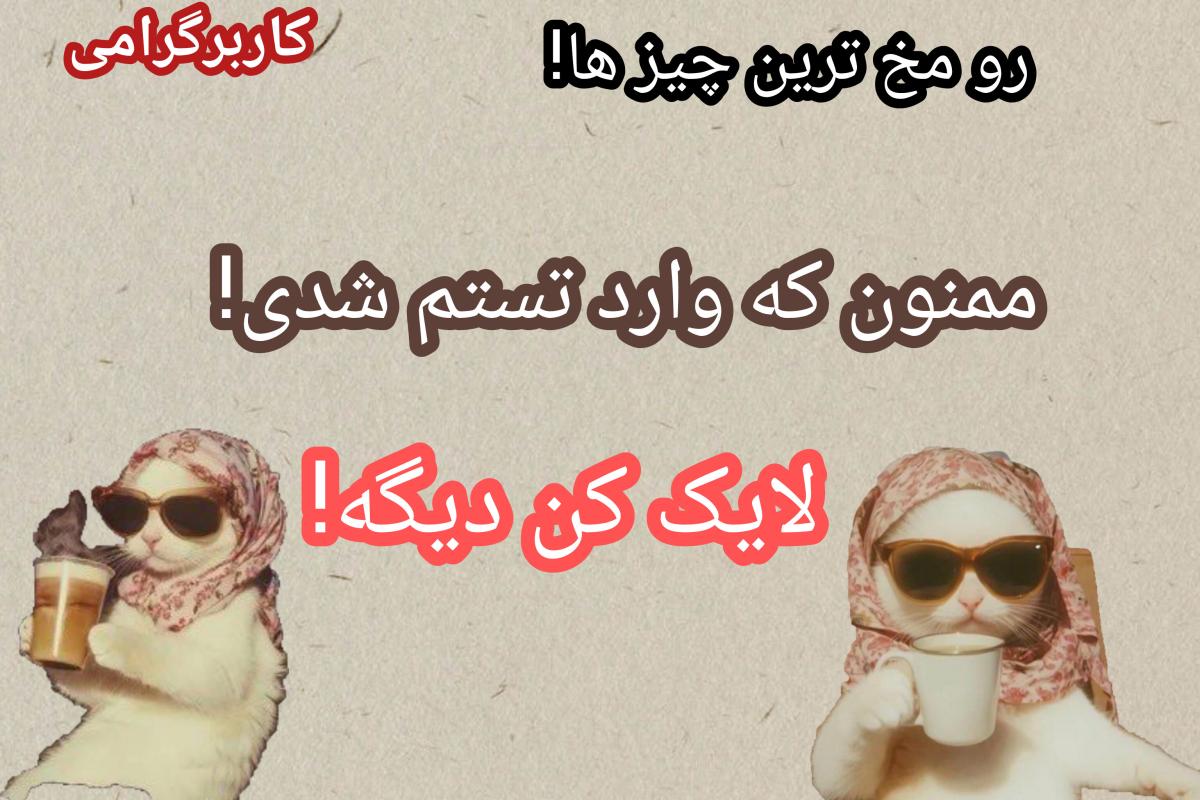 عکس رومخ ترین چیزها+تستچی