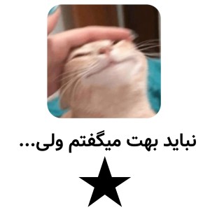 عکس نباید بهت نیگفتم ولی...