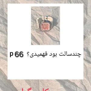 عکس چند سالت بود فهمیدی؟ p66