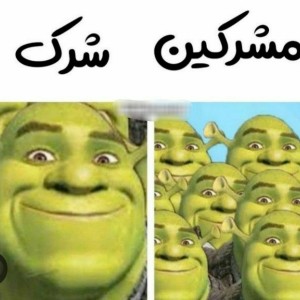 عکس میم (یافت شده در اعماق گالری)