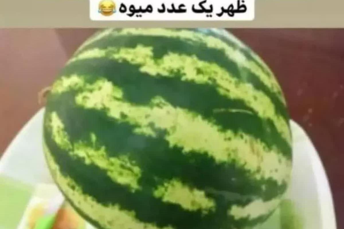 عکس میم ۶