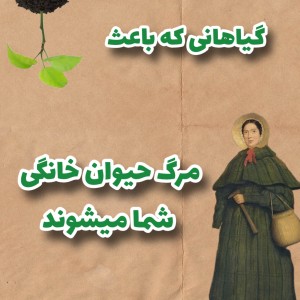 عکس گیاهانی که باعث مرگ حیوان خانگی شما میشوند