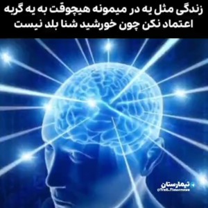 عکس میمعلی ۶۶