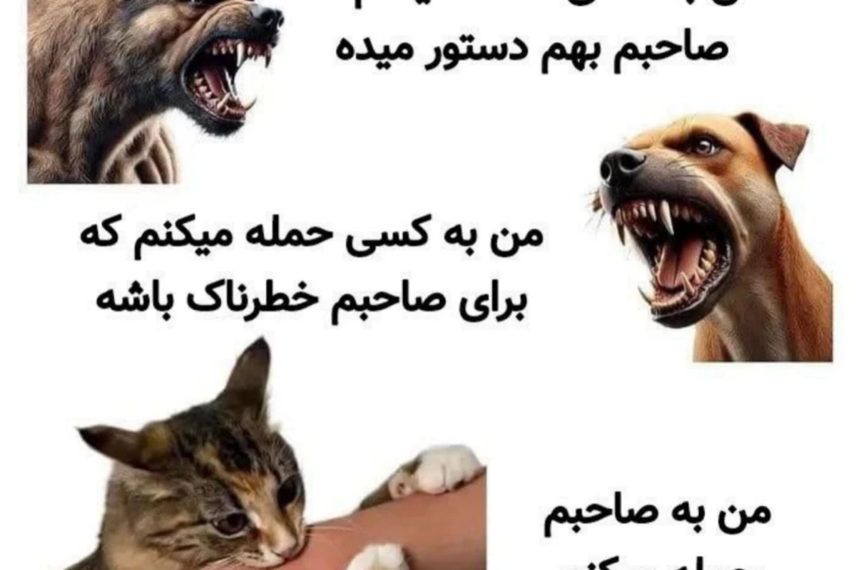 عکس meme🗿p7 تو اگه بامن قهری منکه اشتی ام