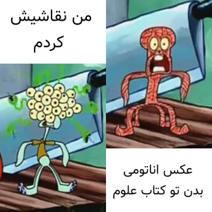 کاور