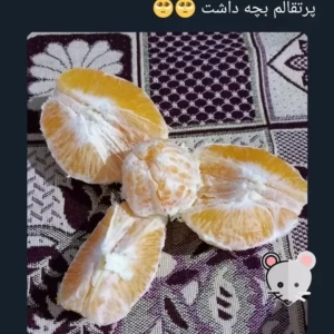عکس مقداری توییت با طعم سم۵