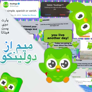 عکس میم از دولینگو پارت دو