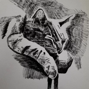 چقدر منطقی هستی?