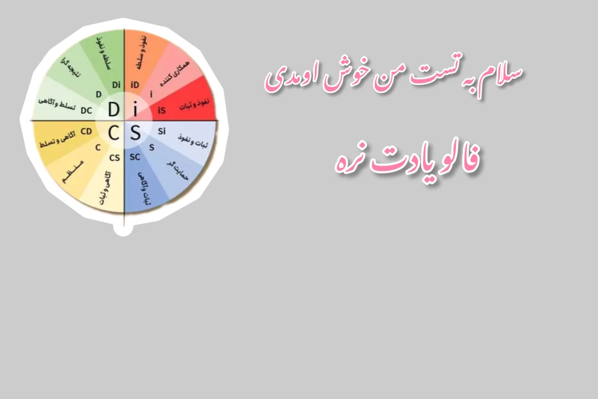 عکس معرفی تست دیسک(disk)