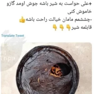 عکس مقداری توییت با طعم سم ۲۲