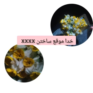 عکس خدا موقع ساختن xxxx