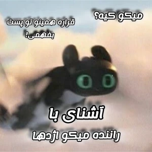 عکس اطلاعات لو رفته میکو