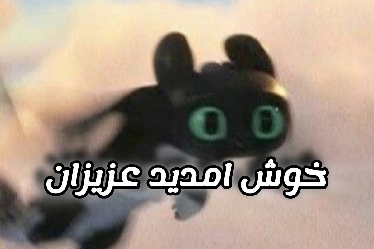 عکس اطلاعات لو رفته میکو