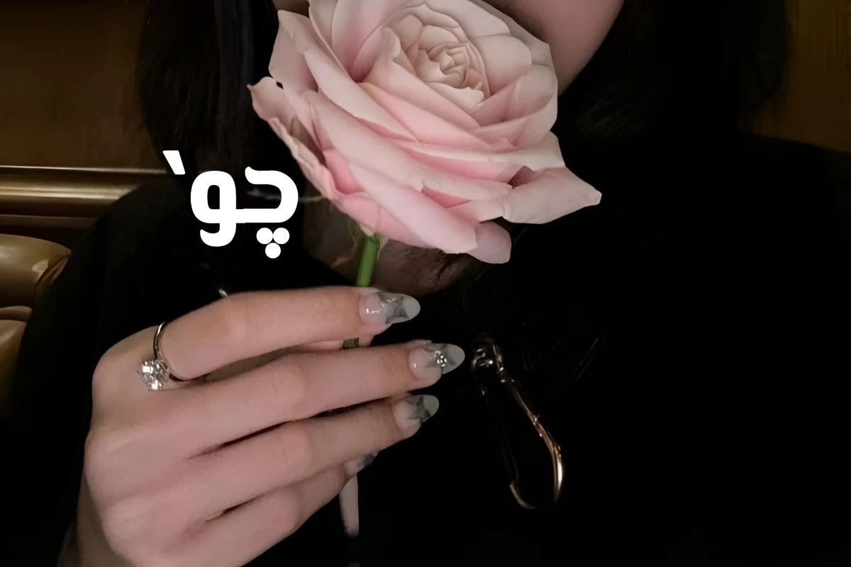 عکس شانسمون تو تستچی