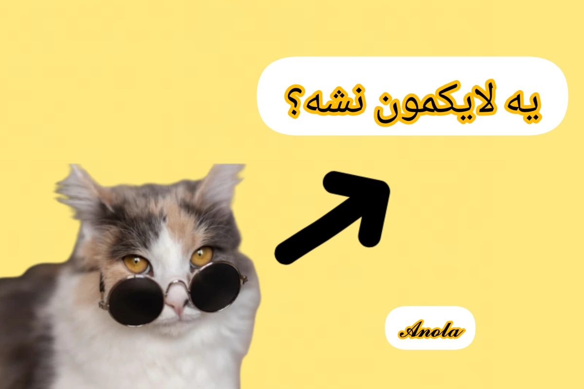 عکس میم پارت ۳