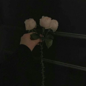 عکس دلم می‌خواهد بنویسم...