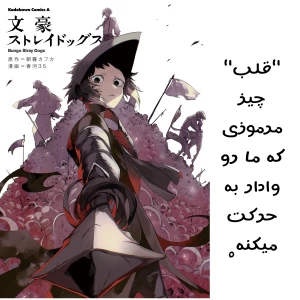 کاور