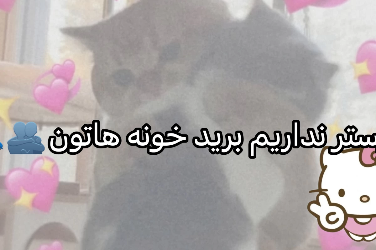 عکس شما ممکن است پیر باشید اما...