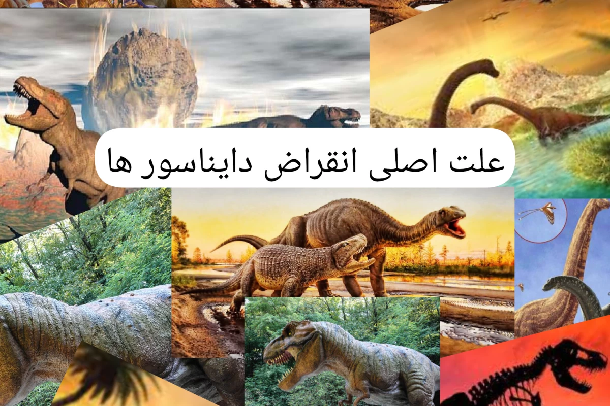 عکس علت اصلی انقراض دایناسور ها