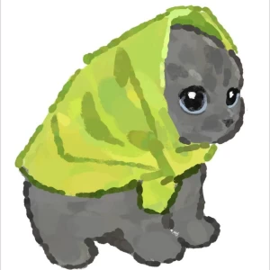 کاور