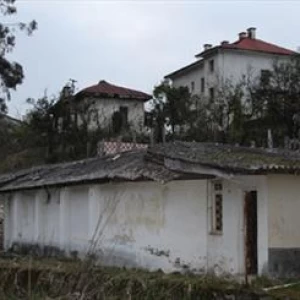 کاور