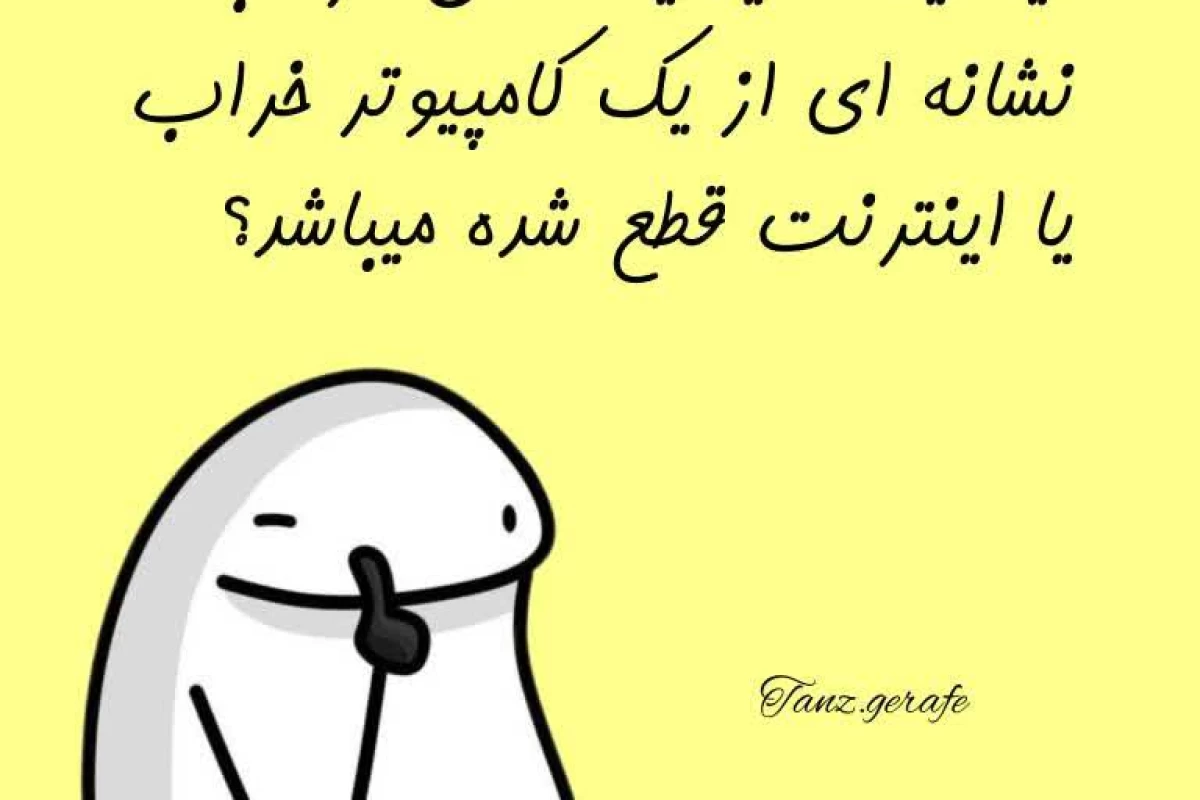 عکس میم ۲