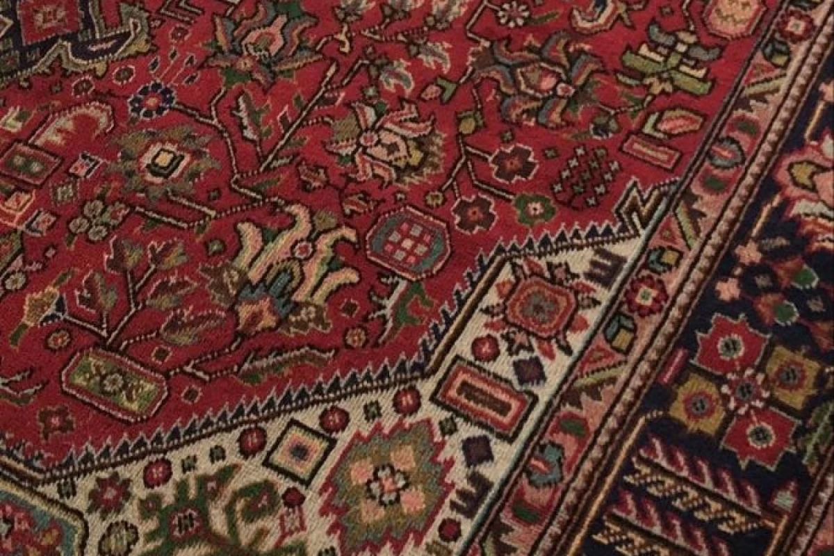 عکس "می‌توانست او اگر می‌خواست"