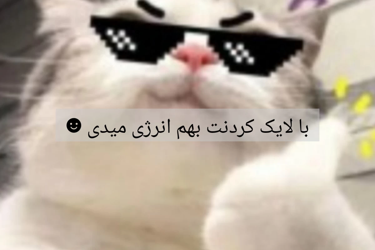عکس تستچی بهتر میشه اگه....