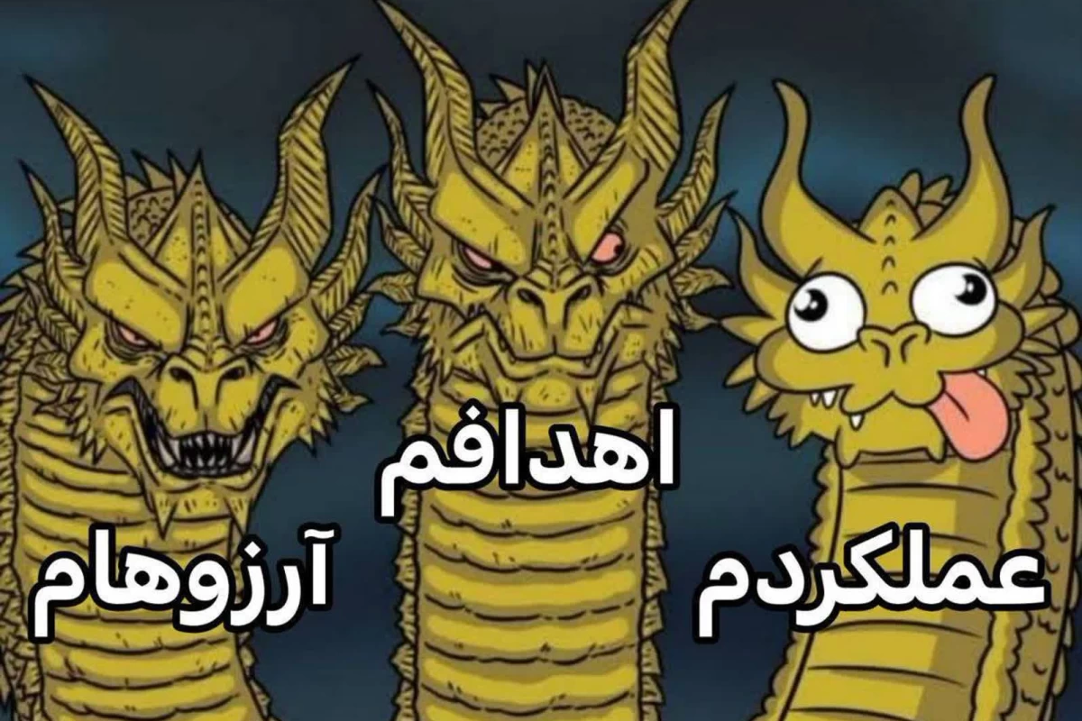 عکس میم ۶