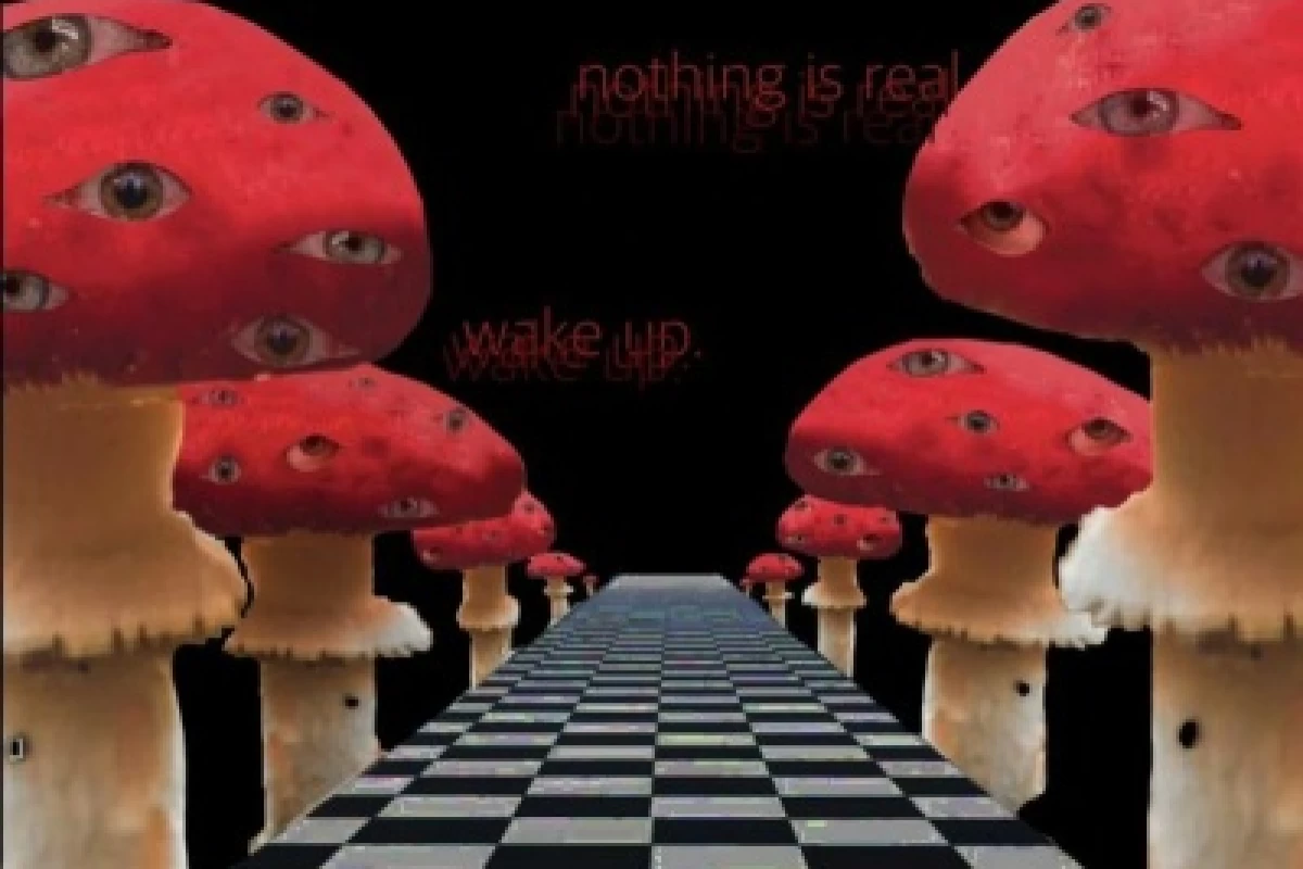 عکس میم ²