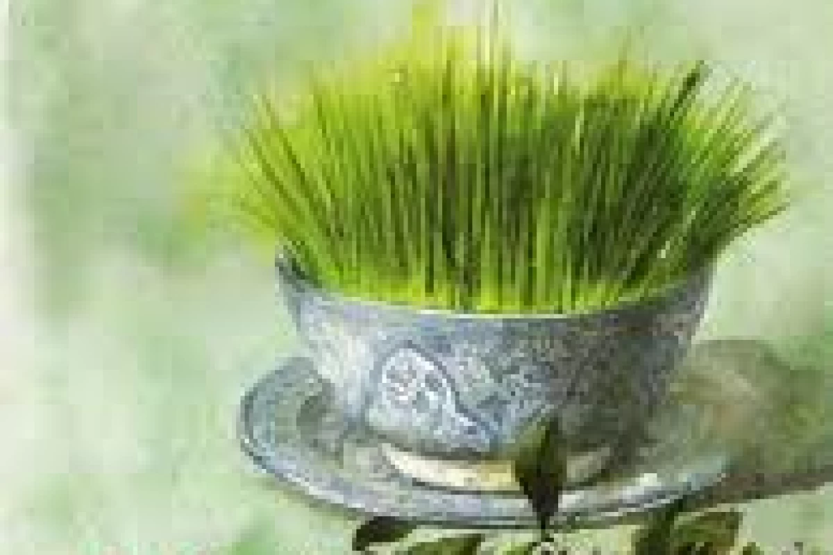 عکس دروغ ۱۳(دروغ‌آوریل)