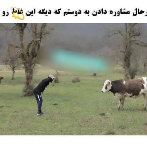 کاور
