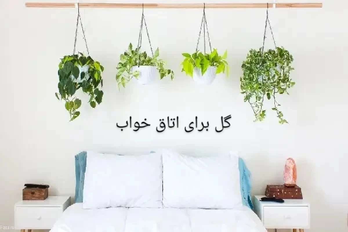 عکس گل برای اتاق خواب