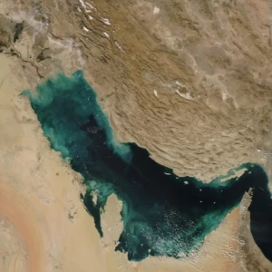 کاور