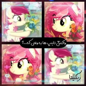 کاور