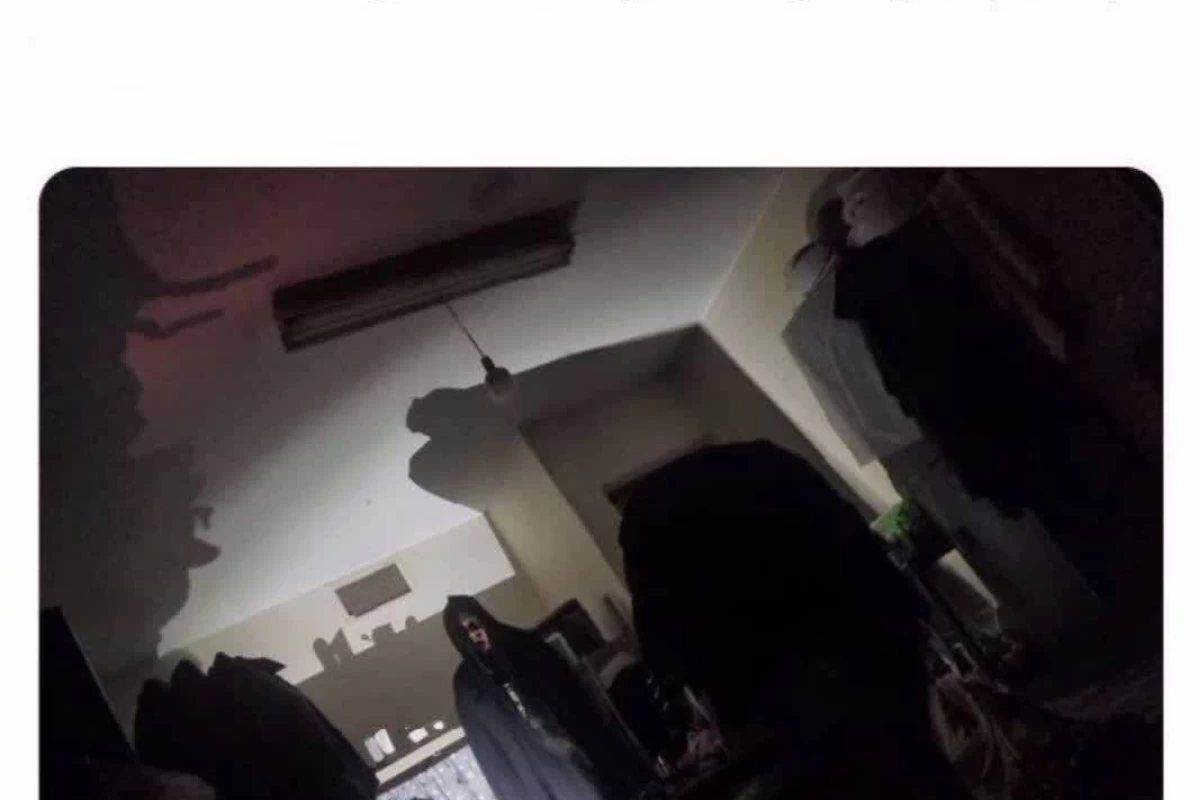 عکس میمp2