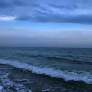 کاور