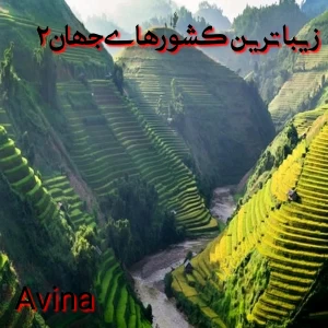 کاور