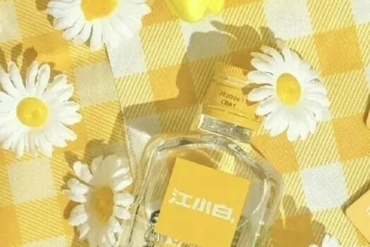 عکس خاطره کلاس اول کاربرای تستچی ۲
