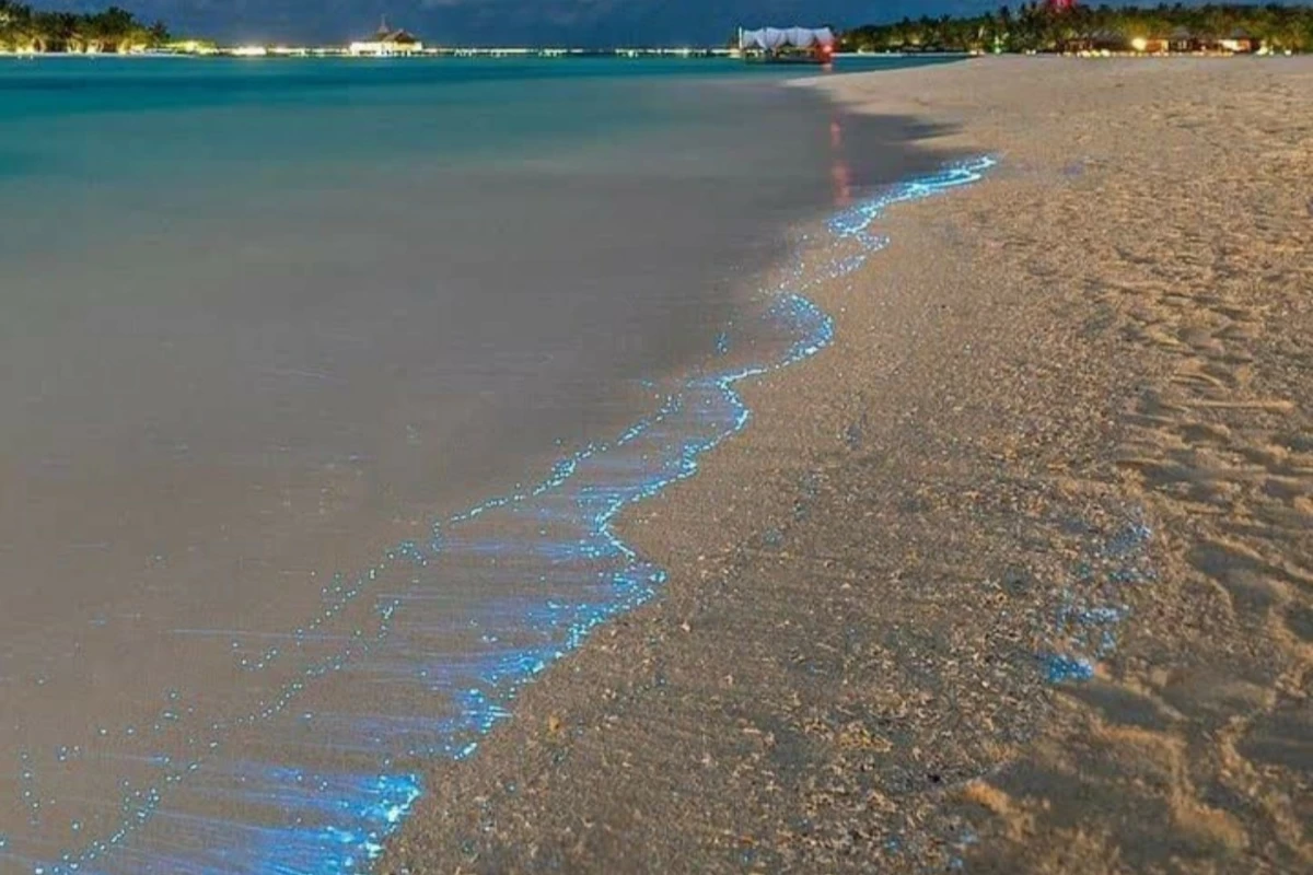 عکس بیو من⁦⁦^⁠_⁠^⁩
