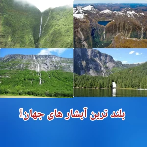 کاور