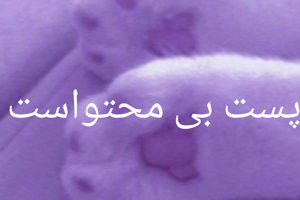 عکس چیزی که قبلا میگفتنvsالان
