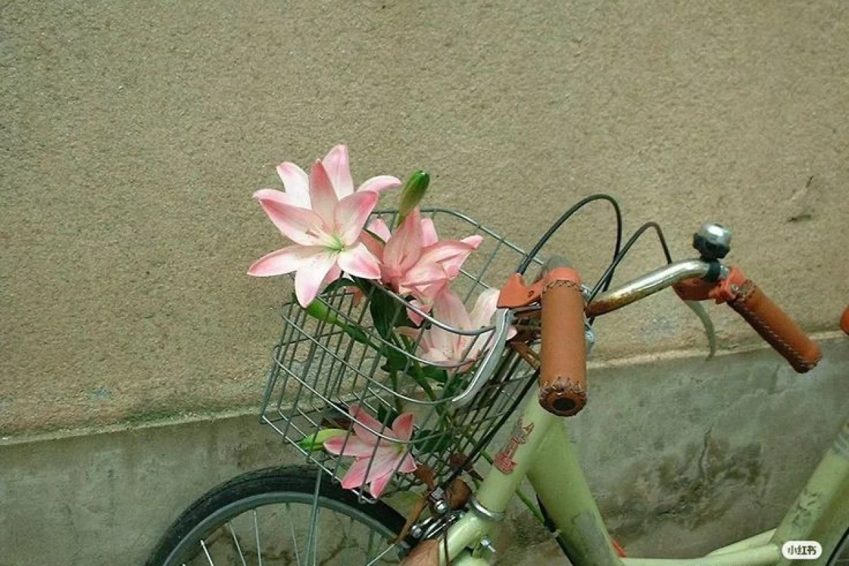 عکس حس‌وحال‌ایرانی:)